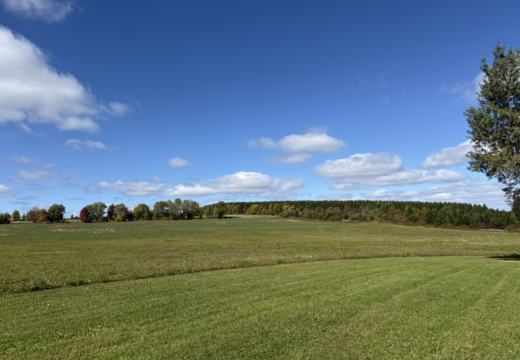 Photograph from Brandin's property in northern Maine