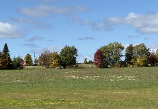 Photograph from Brandin's property in northern Maine