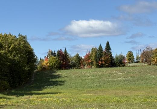 Photograph from Brandin's property in northern Maine