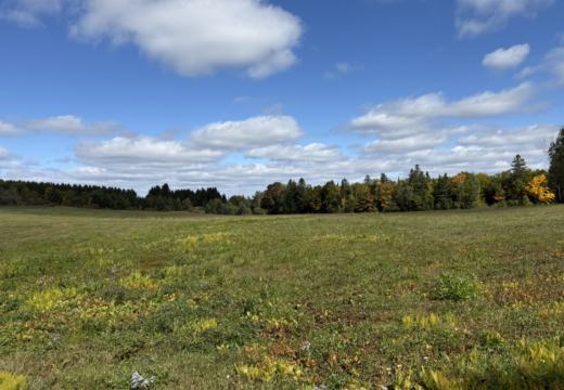 Photograph from Brandin's property in northern Maine