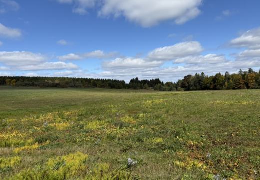 Photograph from Brandin's property in northern Maine