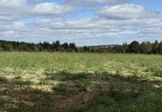 Photograph from Brandin's property in northern Maine