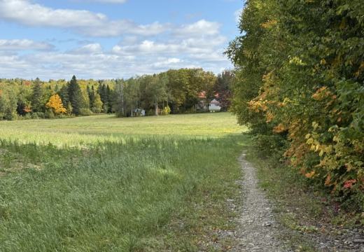 Photograph from Brandin's property in northern Maine