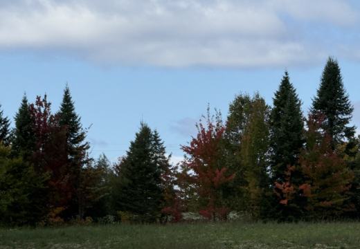 Photograph from Brandin's property in northern Maine