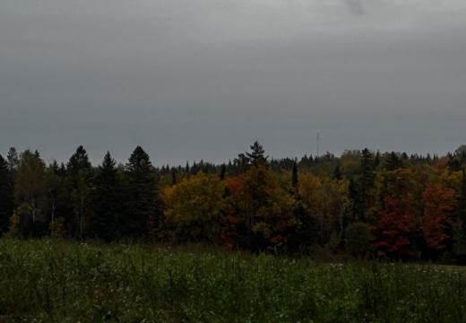 Photograph from Brandin's property in northern Maine