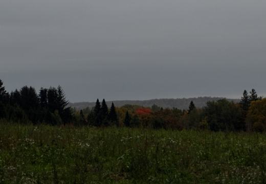 Photograph from Brandin's property in northern Maine