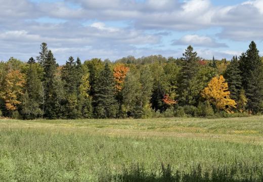 Photograph from Brandin's property in northern Maine