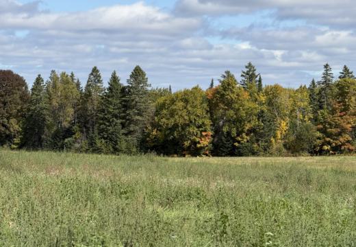 Photograph from Brandin's property in northern Maine