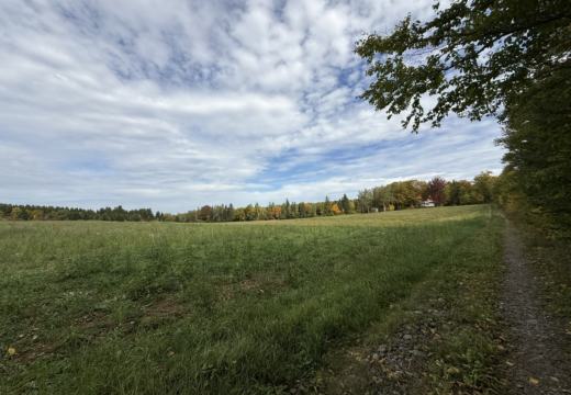 Photograph from Brandin's property in northern Maine