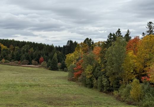 Photograph from Brandin's property in northern Maine