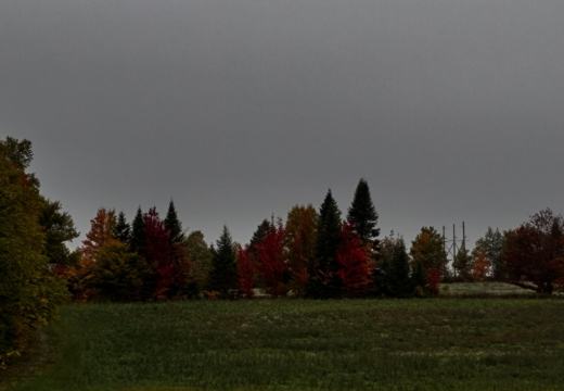 Photograph from Brandin's property in northern Maine