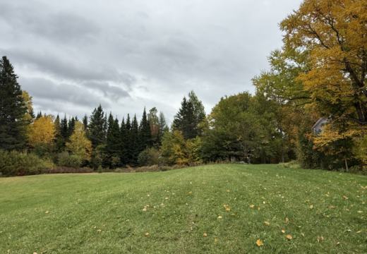 Photograph from Brandin's property in northern Maine