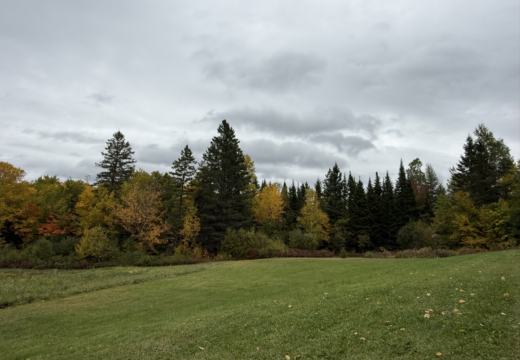 Photograph from Brandin's property in northern Maine