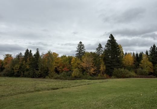 Photograph from Brandin's property in northern Maine
