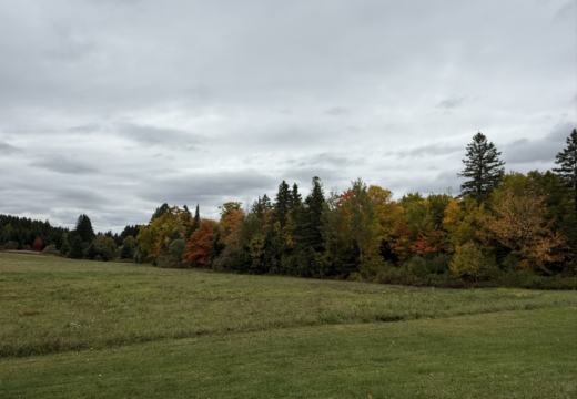 Photograph from Brandin's property in northern Maine
