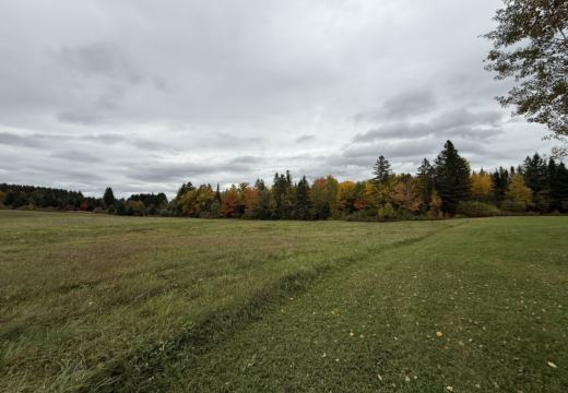 Photograph from Brandin's property in northern Maine