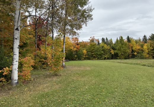 Photograph from Brandin's property in northern Maine