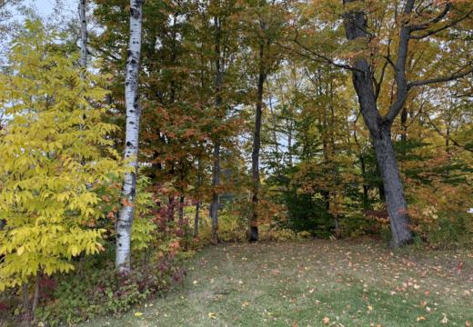 Photograph from Brandin's property in northern Maine