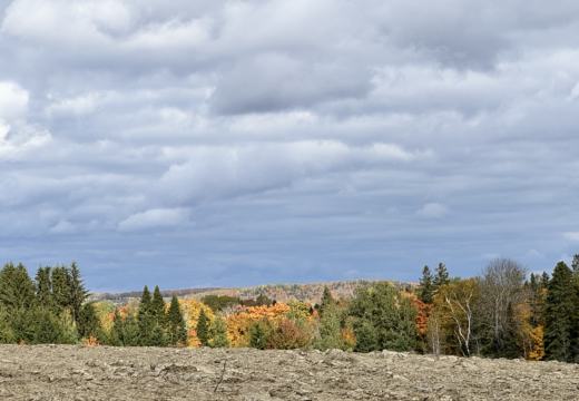 Photograph from Brandin's property in northern Maine