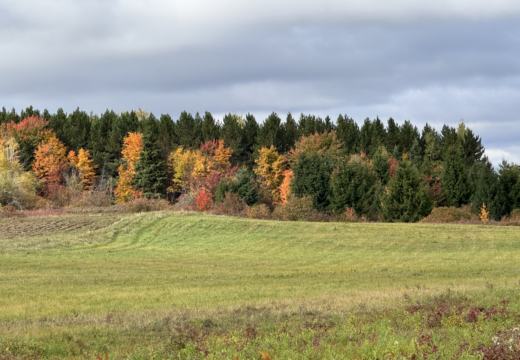 Photograph from Brandin's property in northern Maine
