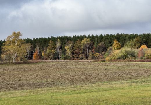 Photograph from Brandin's property in northern Maine